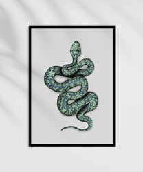 src::https://statusdesign.co.il/wp-content/uploads/2023/08/SNAKE_1000-1200-frame.jpg